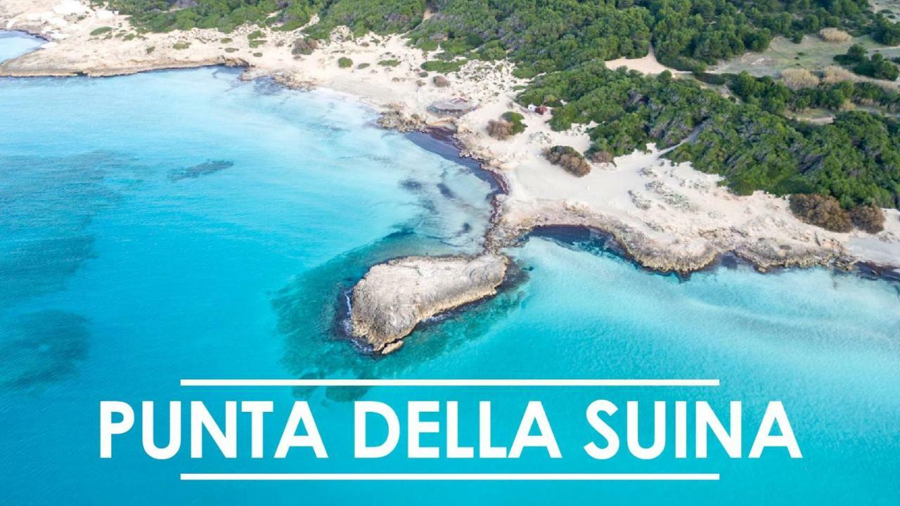 Corte Giuggiola Holiday home *